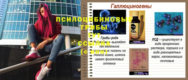 ГАЛЛЮЦИНОГЕННЫЕ ГРИБЫ Балахна
